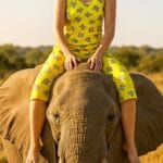 ست تاپ شلوارک پنبه امیلی